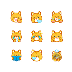 고양이